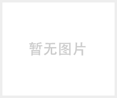 工程基坑滚轴式电脑自动化系统洗车机